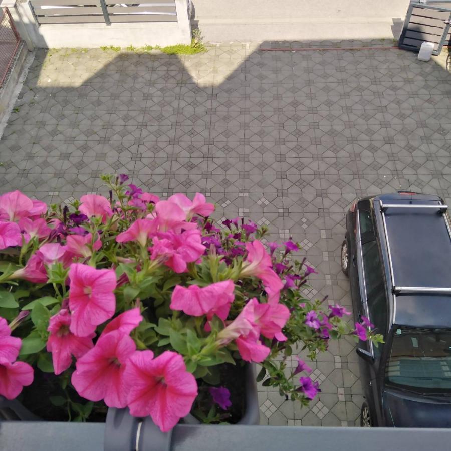 , With Balcony And Free Parking *